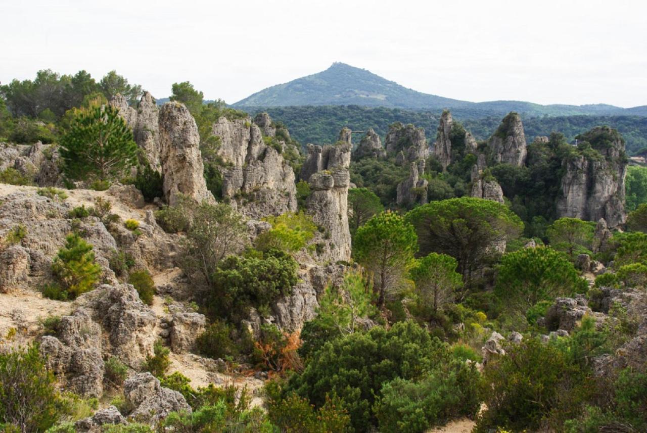 "Evasion"-Meuble De Tourisme 3 Etoiles -Residence "Les Logis De Beziers"-Garage Optionnel-Coeur De Ville-Plages A 16Km ! Exteriör bild